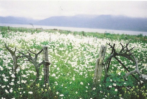 tumblr_mn3umqc2t21rmshl8o1_500